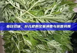春日双味，叶儿粑的艾草清香与茶香共舞