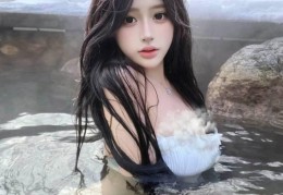 深圳龙华区高端大圈工作室，茶叶品质与服务对比的深度剖析